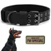 Petopia Collier tactique pour chien