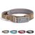 Petopia Collier tactique personnalisé pour grand chien