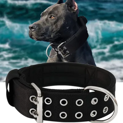 Petopia Collier tactique pour chien