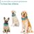 IntiMeg Bandana rafraîchissante pour chien