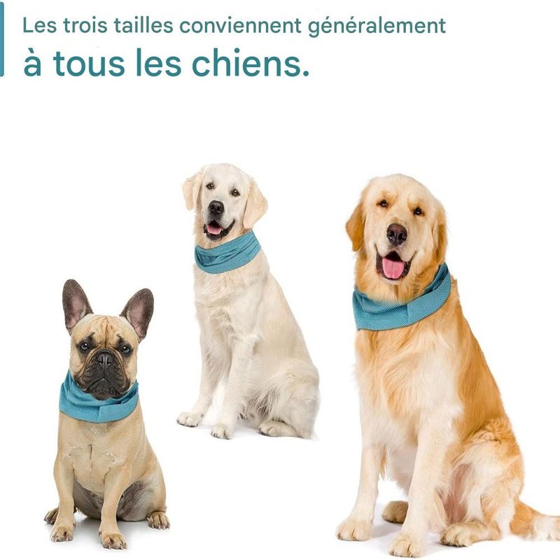 IntiMeg Bandana rafraîchissante pour chien