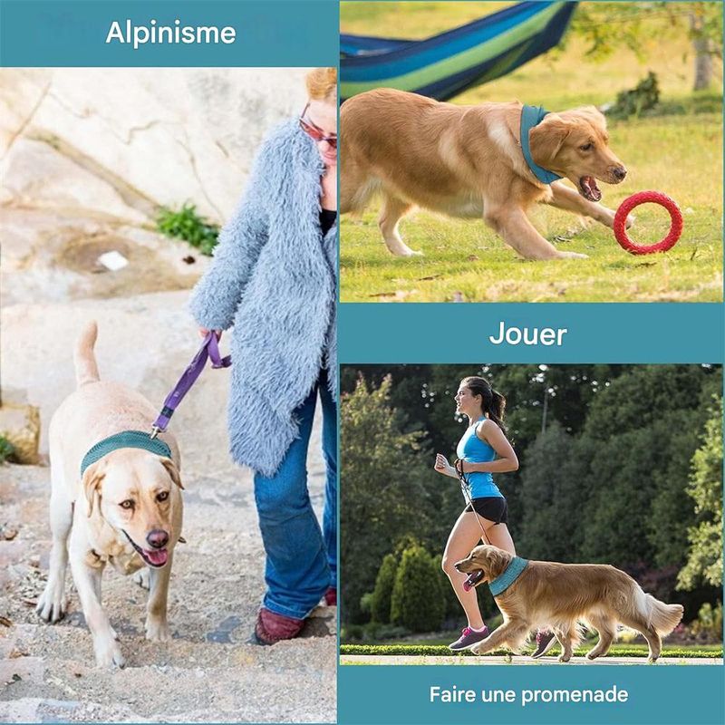 IntiMeg Bandana rafraîchissante pour chien
