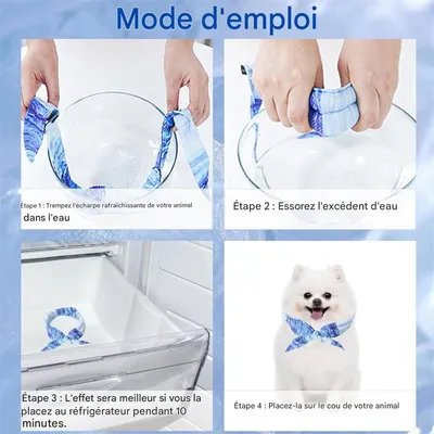 IntiMeg Collier rafraîchissant pour chien