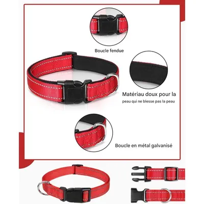 IntiMeg Collier en nylon réfléchissant pour petit chien