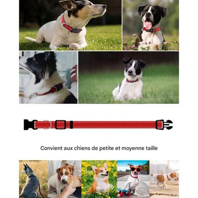 IntiMeg Collier en nylon réfléchissant pour petit chien