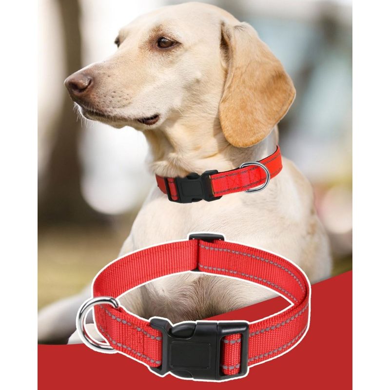 IntiMeg Collier en nylon réfléchissant pour petit chien