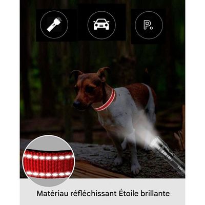 IntiMeg Collier en nylon réfléchissant pour petit chien