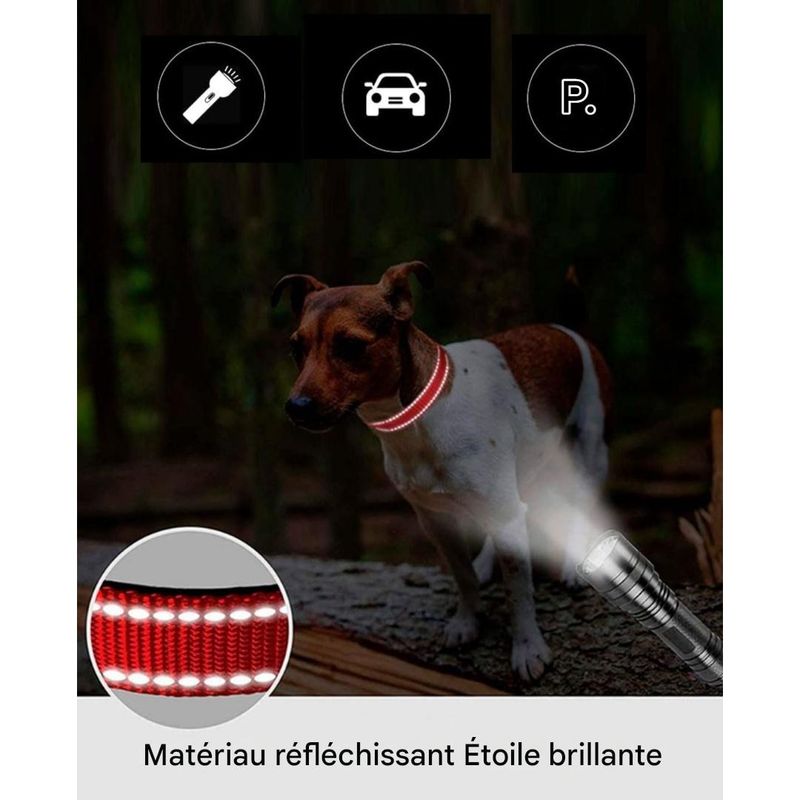 IntiMeg Collier en nylon réfléchissant pour petit chien