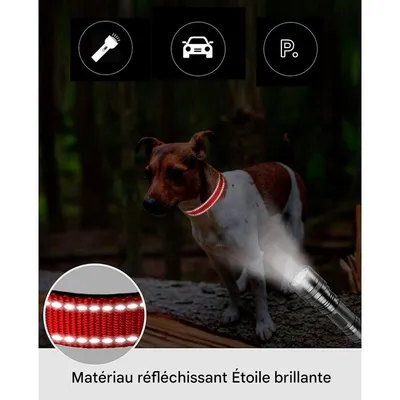IntiMeg Collier en nylon réfléchissant pour petit chien