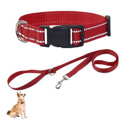 IntiMeg Collier en nylon réfléchissant pour petit chien