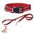 IntiMeg Collier en nylon réfléchissant pour petit chien