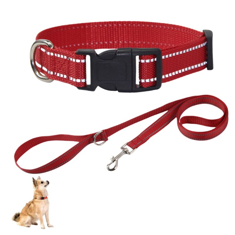 IntiMeg Collier en nylon réfléchissant pour petit chien