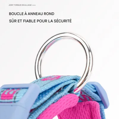 Petopia Collier anti - étranglement pour chien