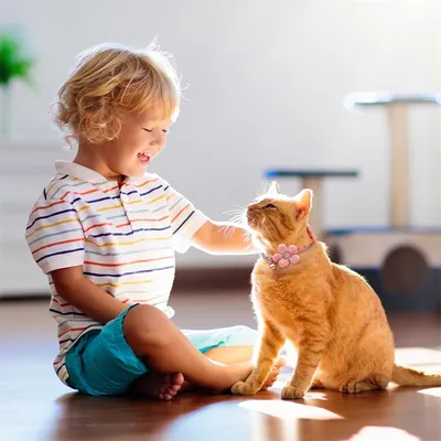 IntiMeg Collier pour petit chien avec fleur
