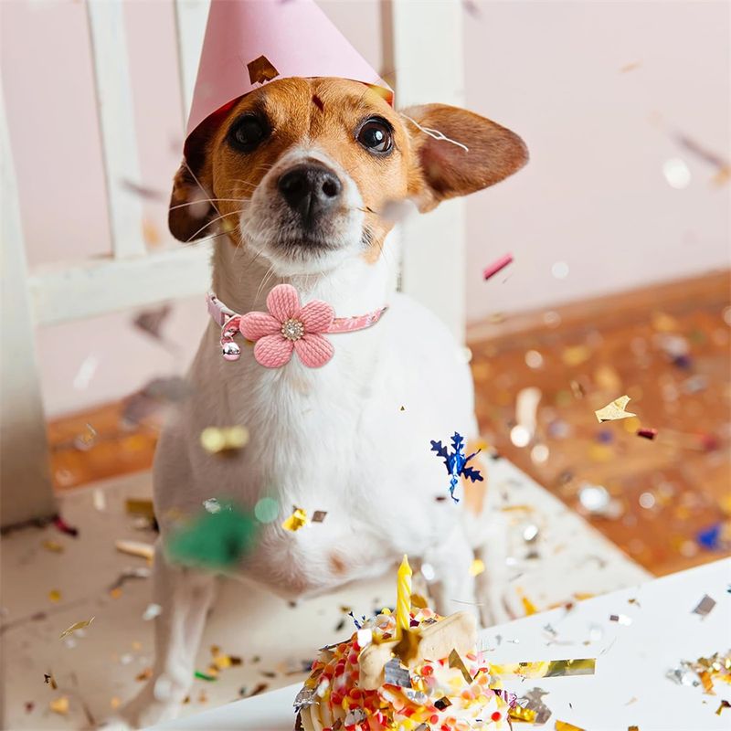 IntiMeg Collier pour petit chien avec fleur