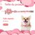IntiMeg Collier pour petit chien avec fleur