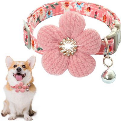 IntiMeg Collier pour petit chien avec fleur