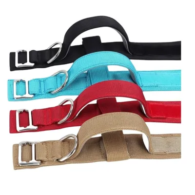 Petopia Collier tactique personnalisé pour grand chien