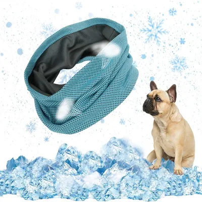 IntiMeg Bandana rafraîchissante pour chien IntiMeg Bandana rafraîchissante pour chien