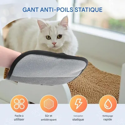 Petopia Gants de toilettage pour chiens et chats
