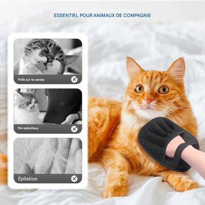 Petopia Gants de toilettage pour chiens et chats