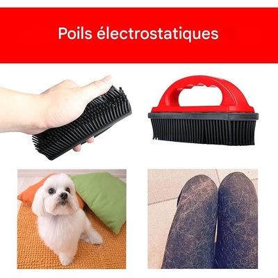 Pet Planet Chiens et Chats Brosse pour Animaux
