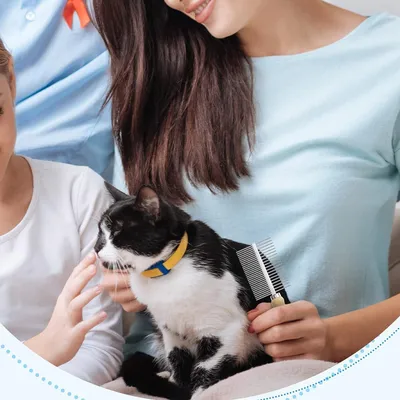 UAMLY peigne double en bois pour chat