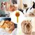 Petopia Brosse démêlante pour chat et chien