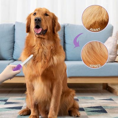 Petopia Brosse pour Chien et Chat à Poil Long