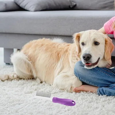 Petopia Brosse pour Chien et Chat à Poil Long