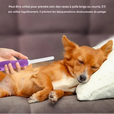 Petopia Brosse pour Chien et Chat à Poil Long