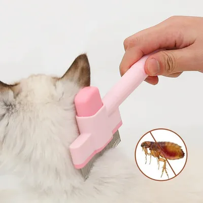 Petopia Brosse de toilettage pour chat