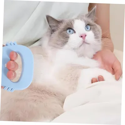 Petopia Peigne de Toilettage pour Chats et Chiens