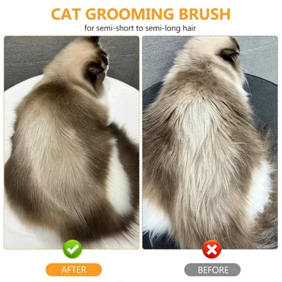 UAMLY Brosse démêlante autonettoyante 2 en 1 pour animaux de compagnie