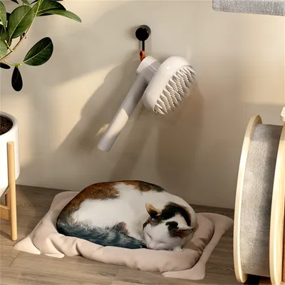 Pet Planet Peigne à brosser et pulvériser