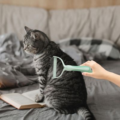 Petopia Peigne démêlant pour chat et chien