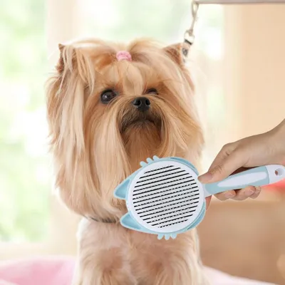 Petopia Brosse de toilettage pour chats et chiots