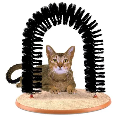 Petopia Brosse de massage pour chat