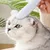 Pet Planet Peigne en forme de langue de chat