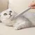 Pet Planet Peigne en forme de langue de chat