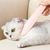Pet Planet Peigne en forme de langue de chat