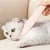 Pet Planet Peigne en forme de langue de chat