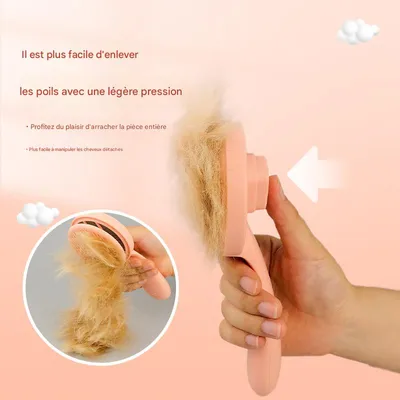 Petopia Peigne à poils pour chat