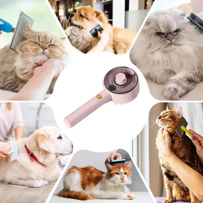 Petopia Brosse à vapeur 4 en 1 pour chat et chien