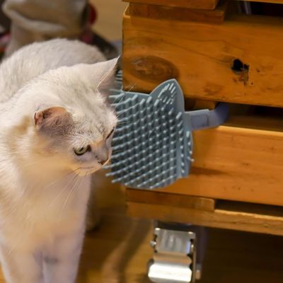 Pet Planet Chats Comfort Griffeuse