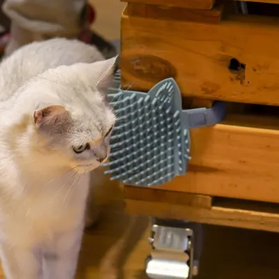 Pet Planet Chats Comfort Griffeuse