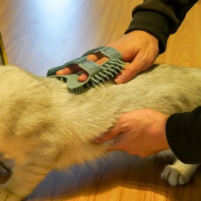 Pet Planet Chats Comfort Griffeuse