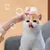 Petopia Brosse de bain pour chat