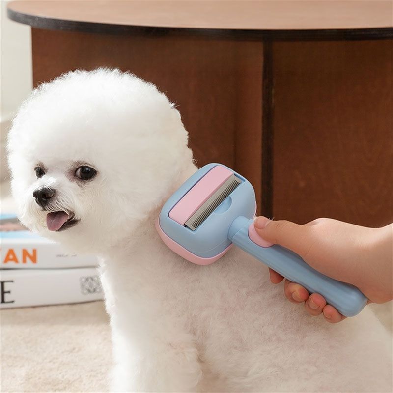 IntiMeg Peigne pour chat et chien en acier inoxydable