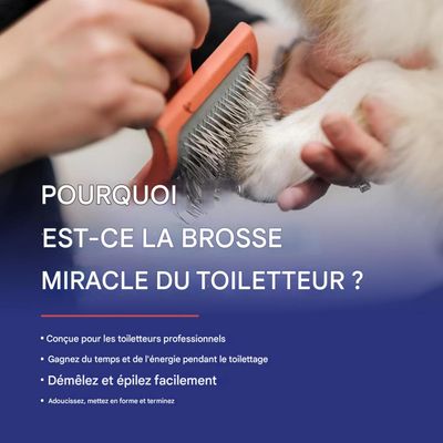 Petopia Peigne pour animaux de compagnie